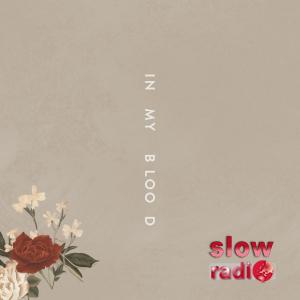 Shawn Mendes - In my blood