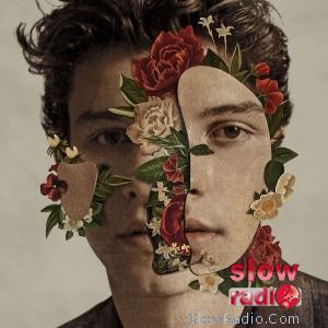 Shawn Mendes - In my blood
