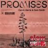 Calvin Harris and Sam Smith - Promises