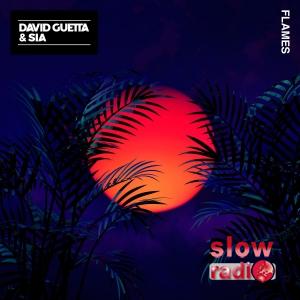 David Guetta & Sia - Flames